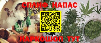 мдпв Гай