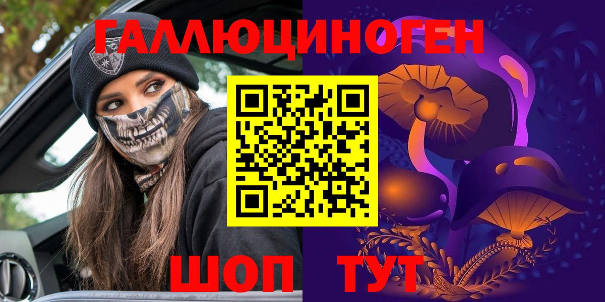 Чернушка  Псилоцибиновые грибы GOLDEN TEACHER  как найти закладки  Вход с VPN 